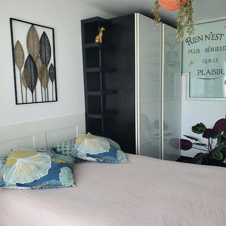 Appartement Cosy Entierement Equipe Toulouse Extérieur photo