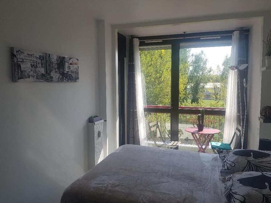 Appartement Cosy Entierement Equipe Toulouse Extérieur photo