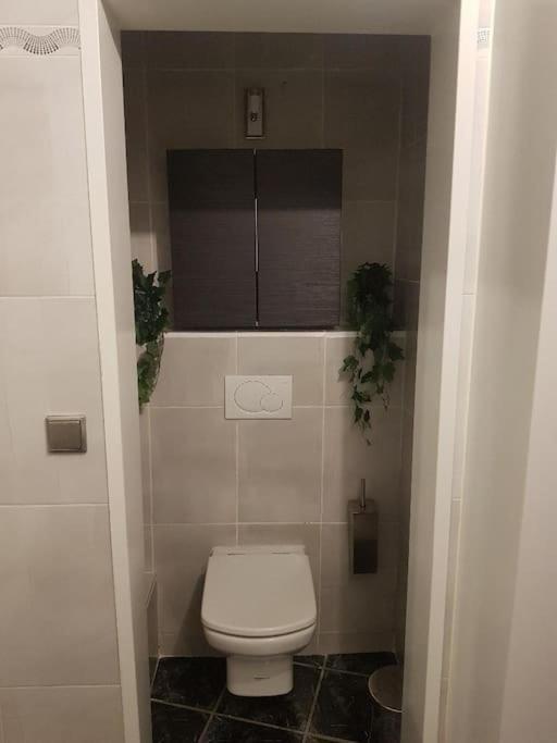 Appartement Cosy Entierement Equipe Toulouse Extérieur photo