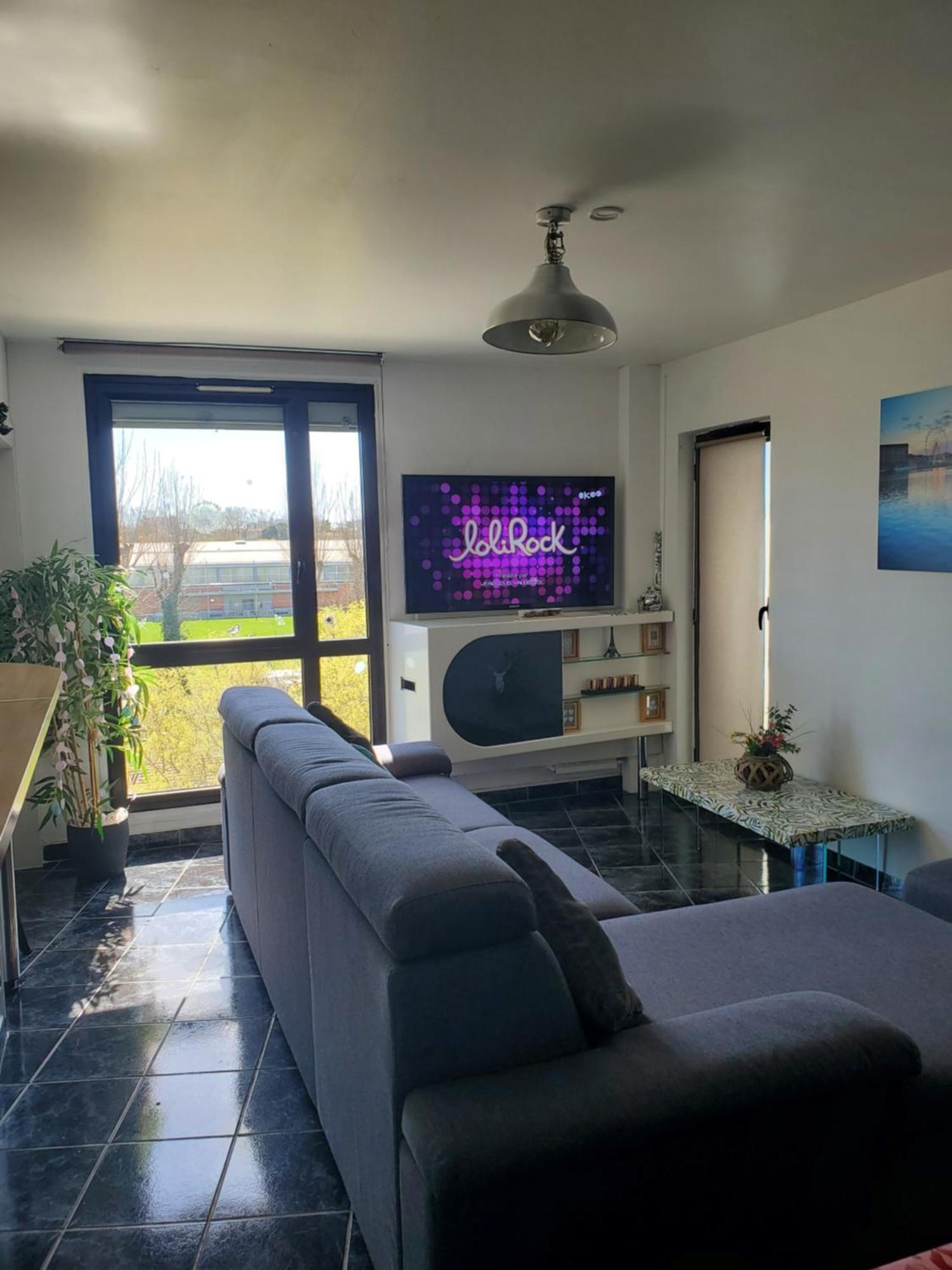 Appartement Cosy Entierement Equipe Toulouse Extérieur photo